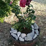 Authentic Dalmatia Pirovac
