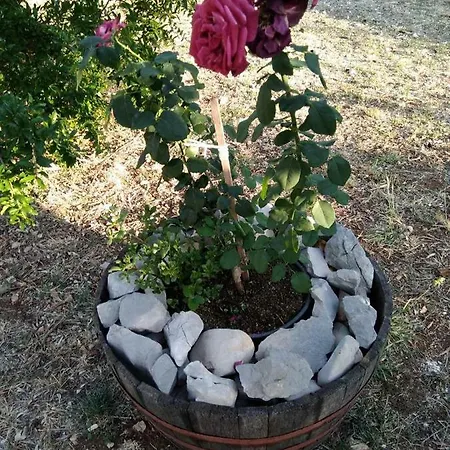 Authentic Dalmatia Pirovac