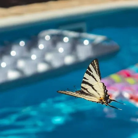 Authentic Dalmatia Parque de Campismo *