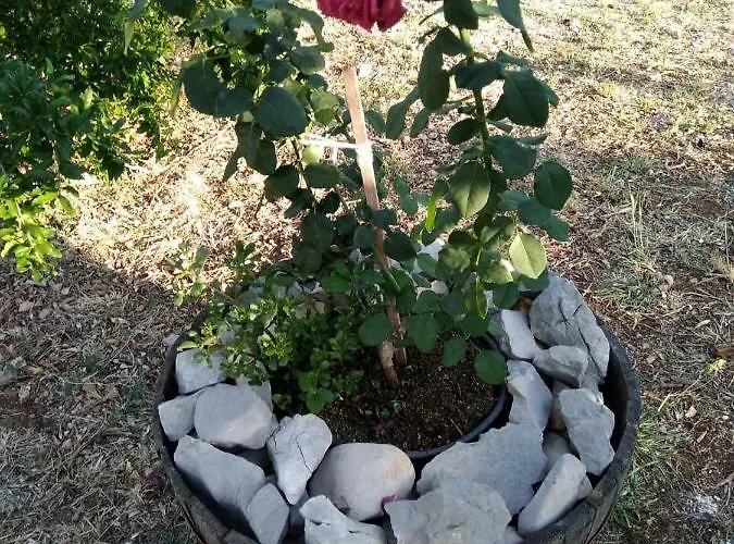 Authentic Dalmatia Pirovac