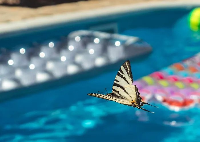 Authentic Dalmatia אתר קמפינג *